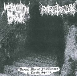 Megalith Grave : Beyond Morbid Fascinations of Cryptic Spirits
